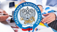 С 1 ноября 2025 года Федеральная налоговая служба будет взыскивать задолженности граждан без обращения в суд